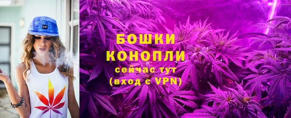 бутират Гусев