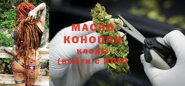 индика Гусь-Хрустальный