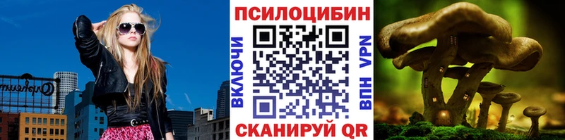 площадка телеграм Удомля Галлюциногенные грибы Psilocybine cubensis