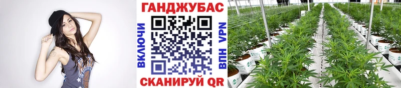 Марихуана White Widow  купить наркоту  Удомля 